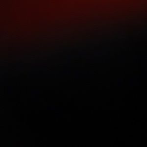 Meet your Posher, Wydlynn